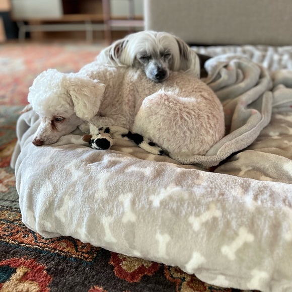 Meet your Posher, Kathy - Picture 6 of 16